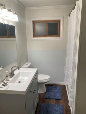 Combined shower/bathtub, towels, soap, toilet paper