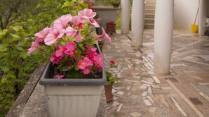 Une plante en pot, ornée de fleurs roses, est posée sur une terrasse en pierre, avec des arches en arrière-plan.