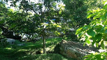 Área da propriedade
