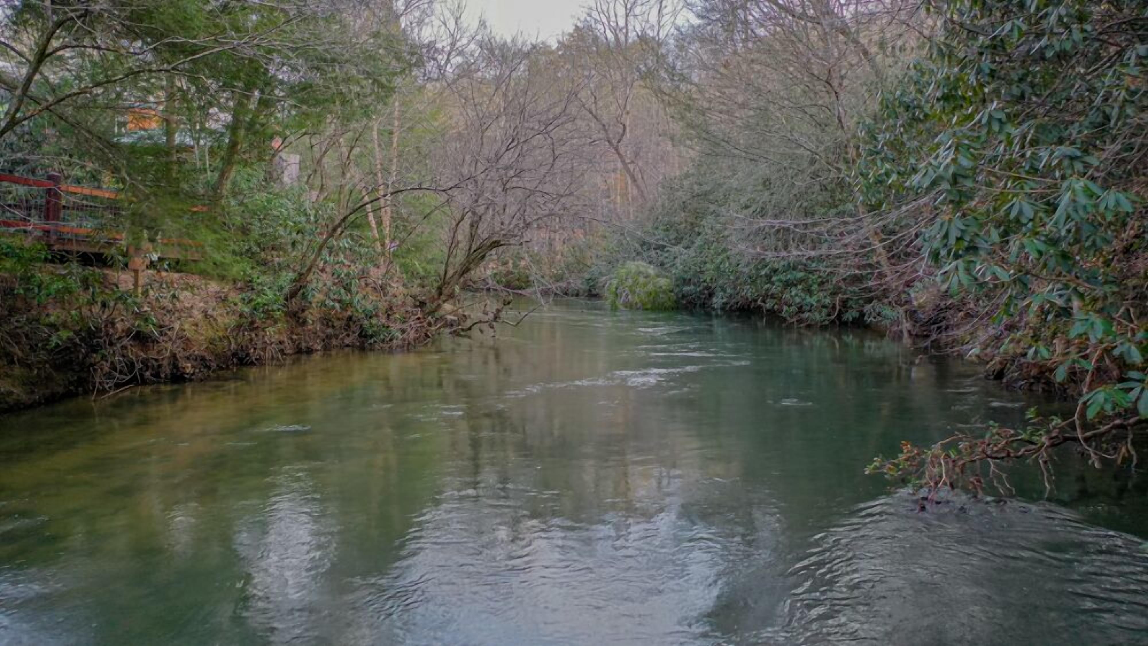 Fighting Creek Cabin - River Front | Trout Fishing | Hot Tub | Pool Table | Fire Pit