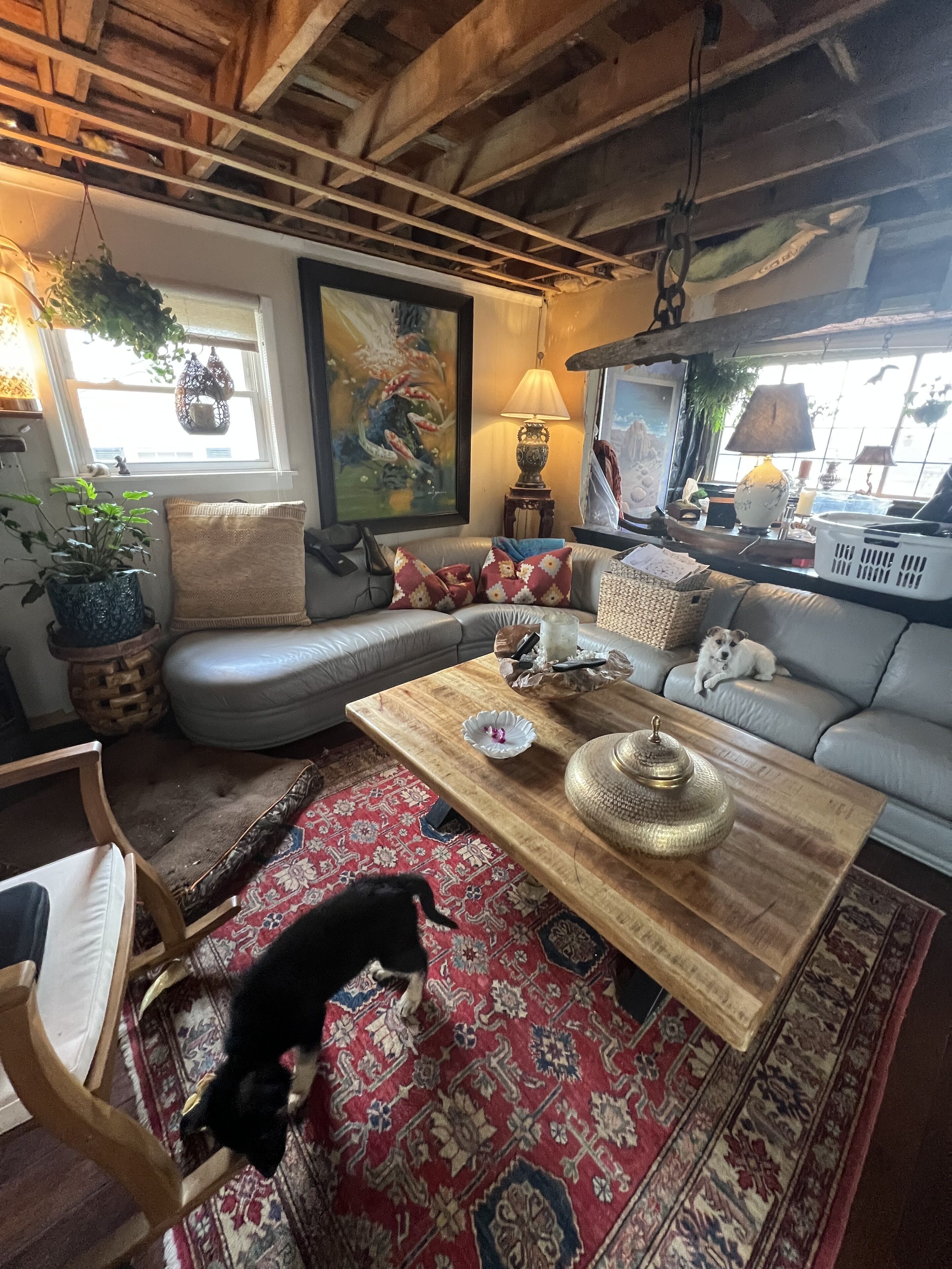 Darling cottage near entrance to Letchworth State Park  overlooking Silver Lake!