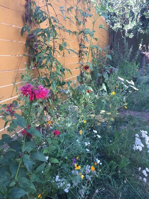 Garden area with lush greenery and vibrant flowers, surrounded by a well-maintained fence.