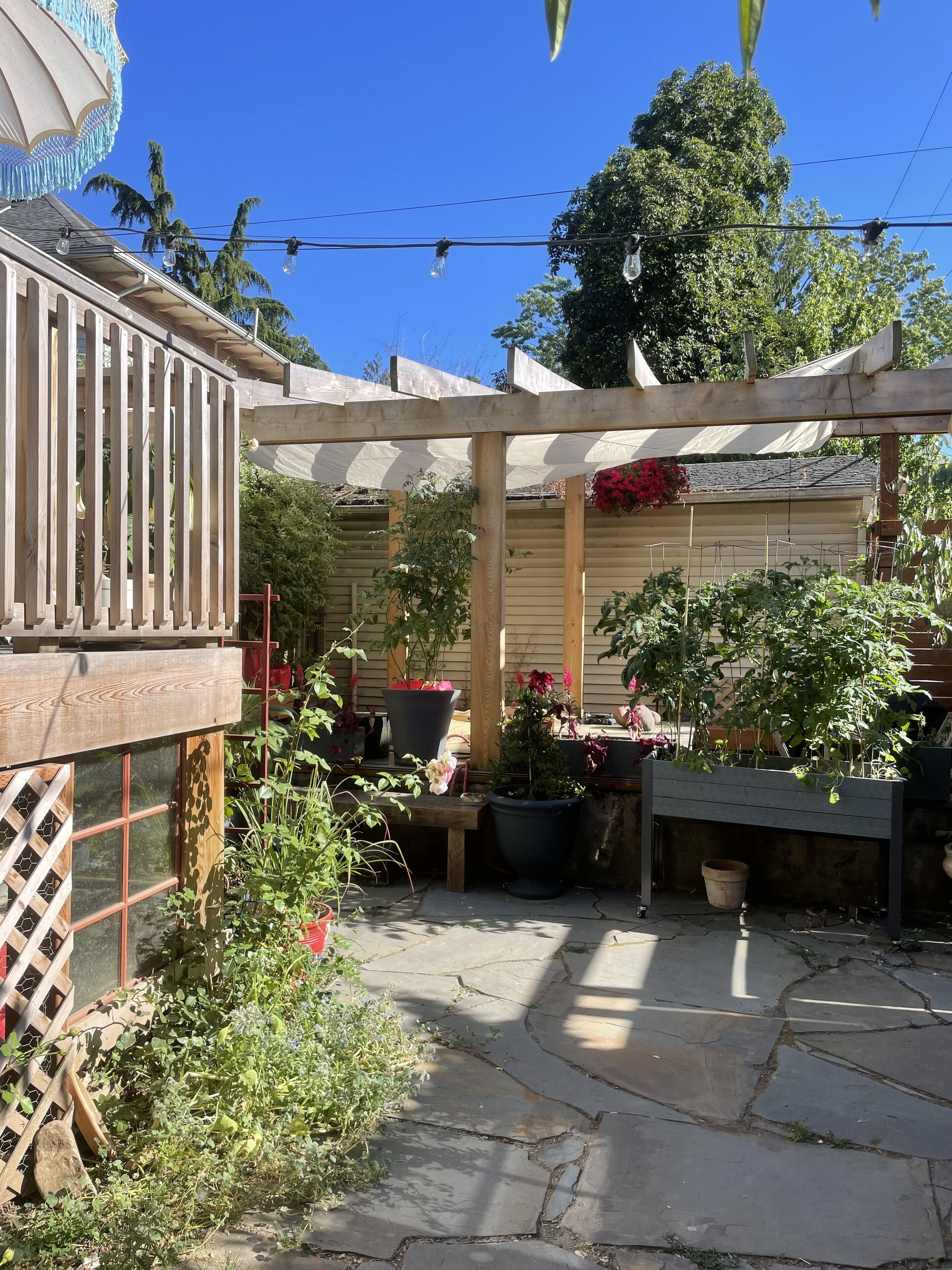 Een terras met een pergola, plantenbakken en een houten omheining.