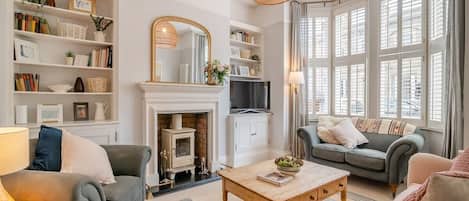 TV connectée, cheminée, lecteur de DVD, livres