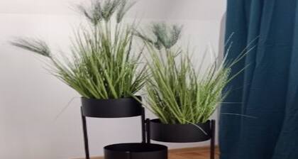 Wohnung im Rathaus Jelenia Góra