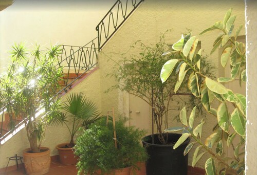 Beautiful apartment on the Carihuela beach