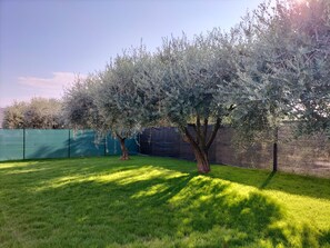 Property grounds - Villa Verde (Lazise)