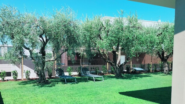 Une cour avec une pelouse, des arbres et des sièges extérieurs.