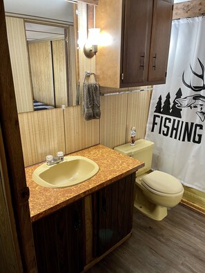 Combined shower/tub, jetted tub, towels, toilet paper