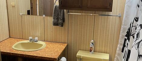 A compact bathroom with a wooden vanity, a toilet, and a shower curtain.