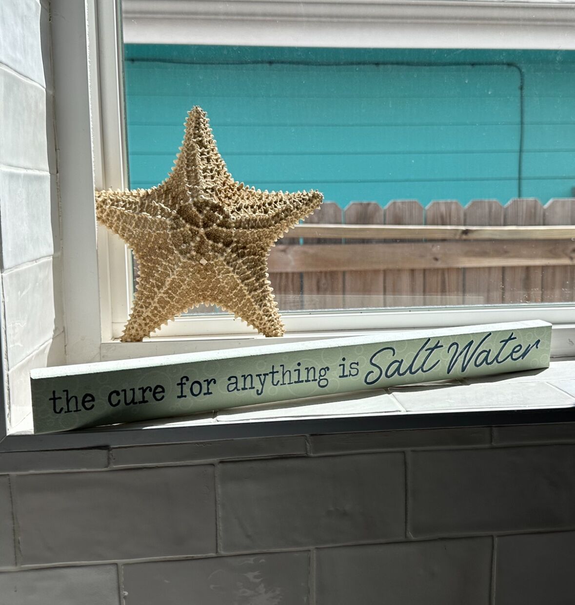 Una estrella de mar com a decoració a la finestra, amb un llibre amb el títol 'the cure for anything is Salt Water' a sota.