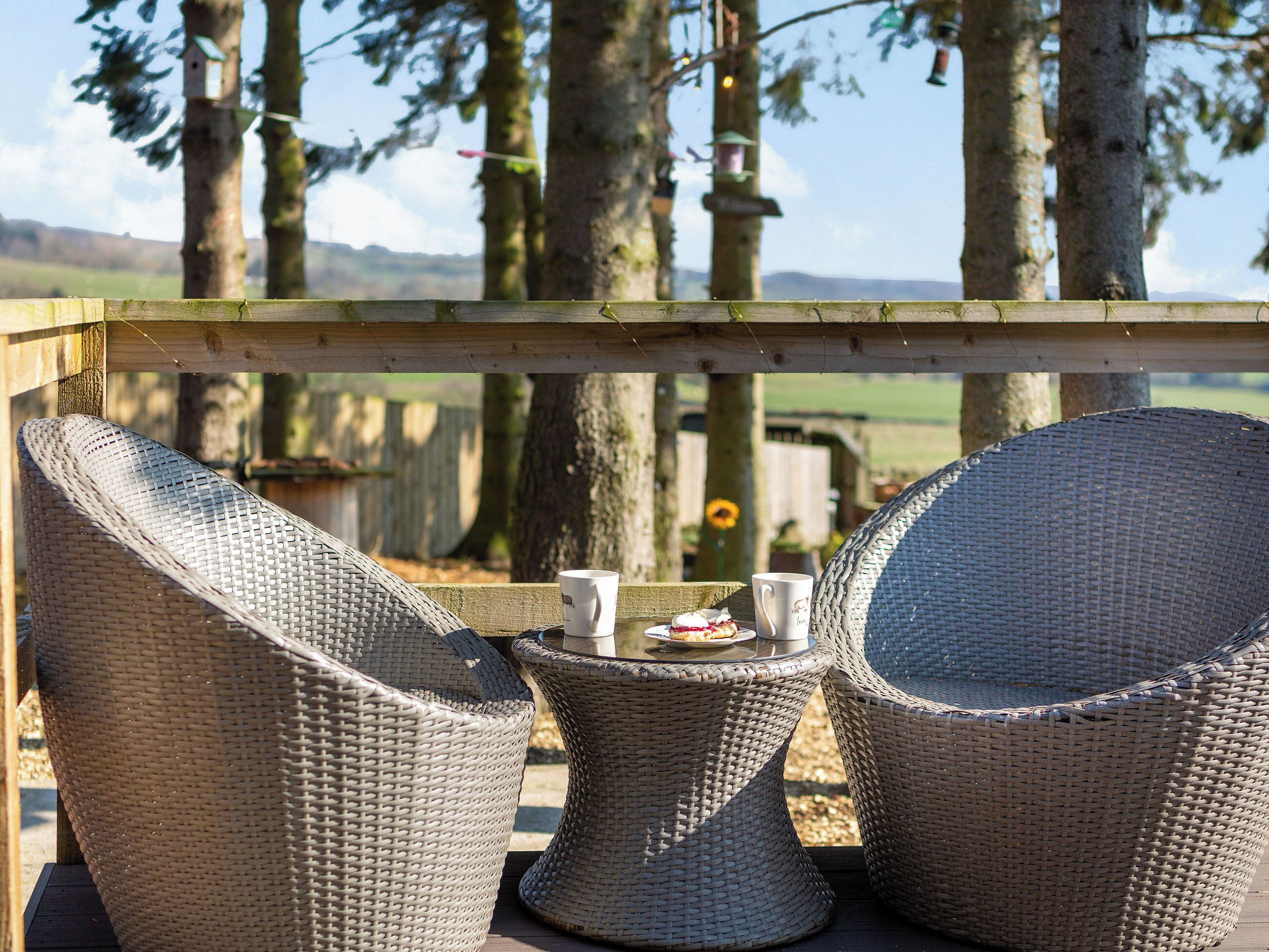 Áreas de la propiedad