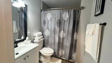 Combined shower/tub, hair dryer, towels, soap