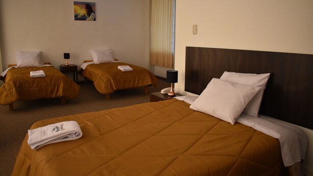 Habitación de hotel con dos camas, cada una con colcha marrón y almohadas blancas. Hay un cuadro en la pared y una ventana con cortinas.