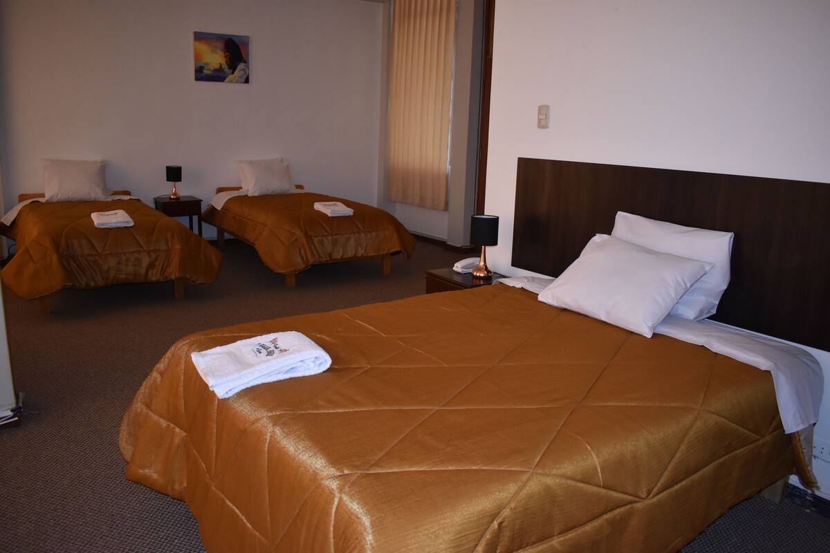 Ett hotellrum med två enkelsängar och en dubbelsäng, alla med ett brunt överkast och vita kuddar. Mellan sängarna står ett litet bord med en lampa, och på väggen ovanför enkelsängarna hänger en tavla.