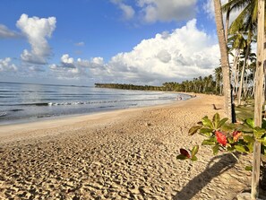Beach nearby, beach towels