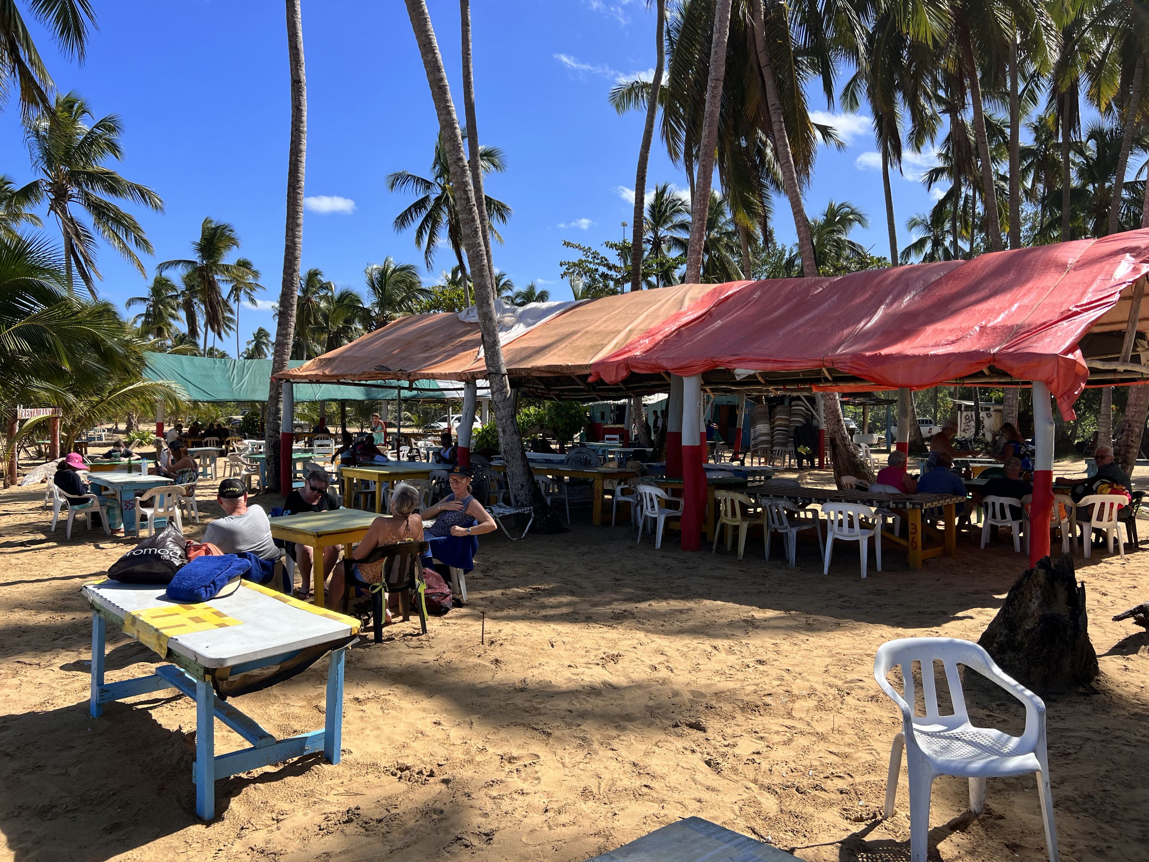 An outdoor seating area with tables and chairs, surrounded by palm trees.