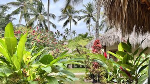 A tropical garden with a thatched-roof structure, lush greenery, and a stone pathway.
