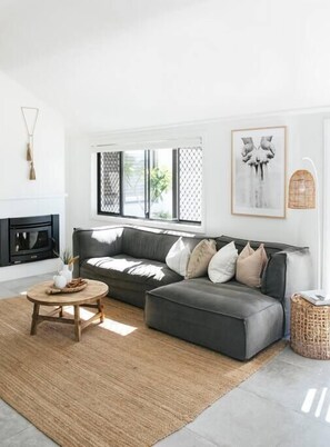 TV, fireplace, video games, books