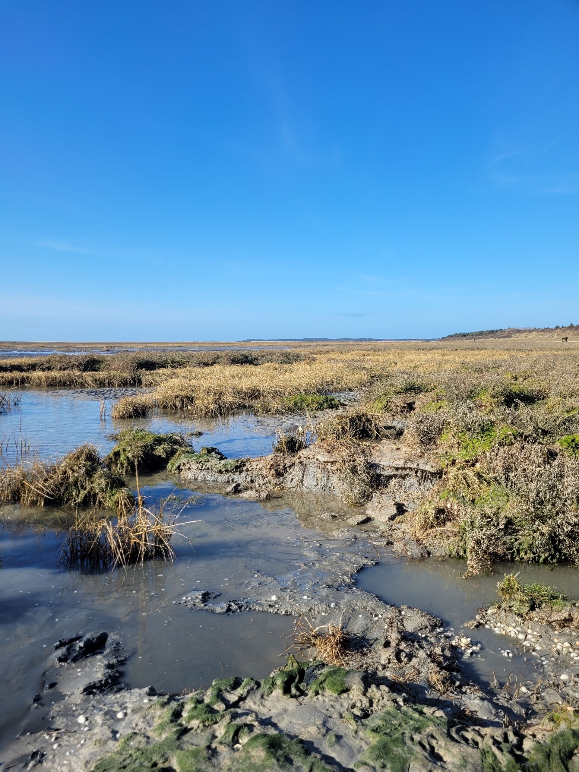 Un paysage naturel comprenant une étendue d’eau et une zone terrestre.