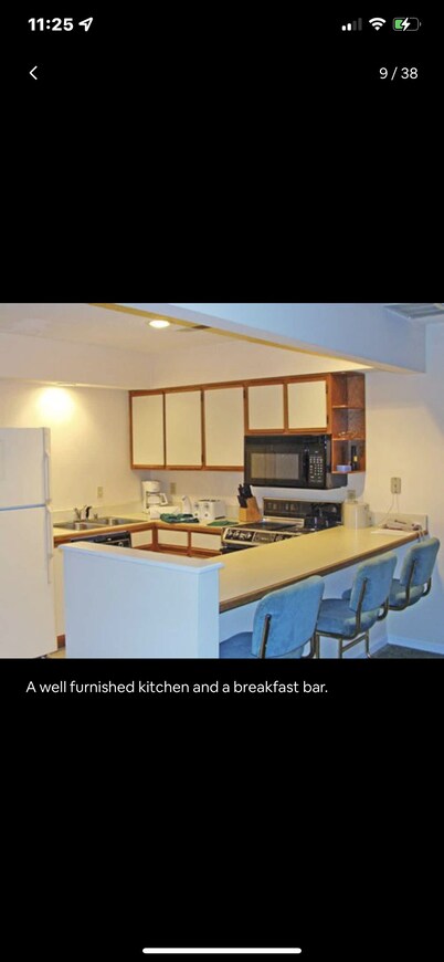 Beautiful Wooden Area