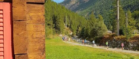 Overnattingsstedets uteområder