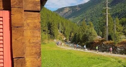 Alleinstehende, idyllische Wohnung an guter Lage!