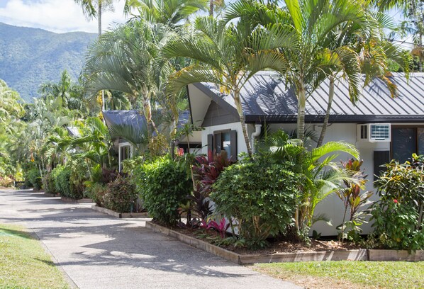 Una hilera de casas con entrada pavimentada, rodeadas de exuberante vegetación tropical y una montaña al fondo.