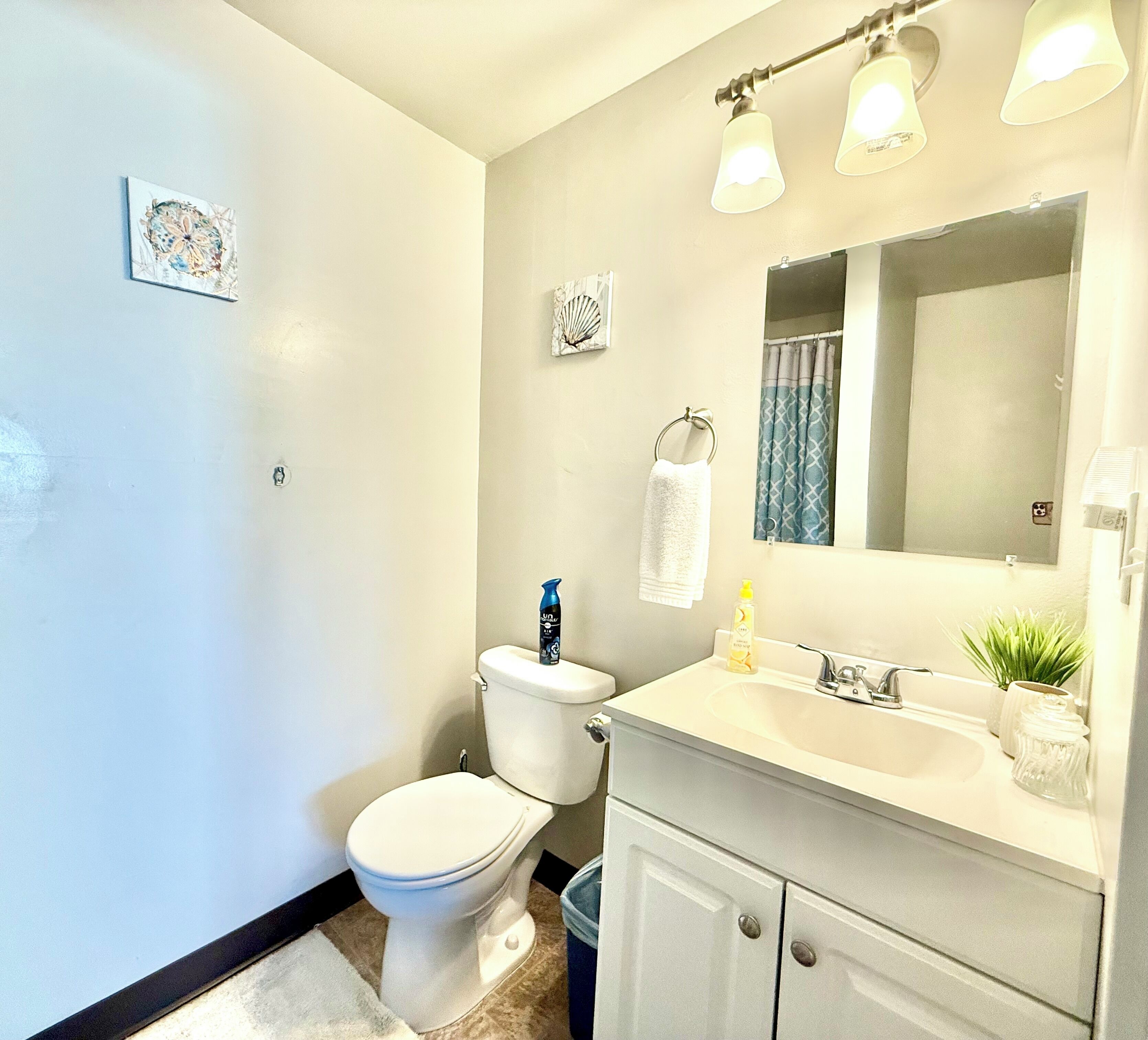 Un baño con inodoro, lavabo, espejo y toallero.