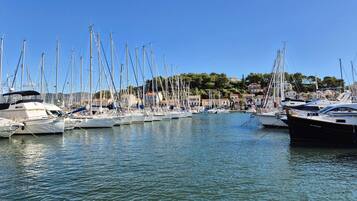 Marina