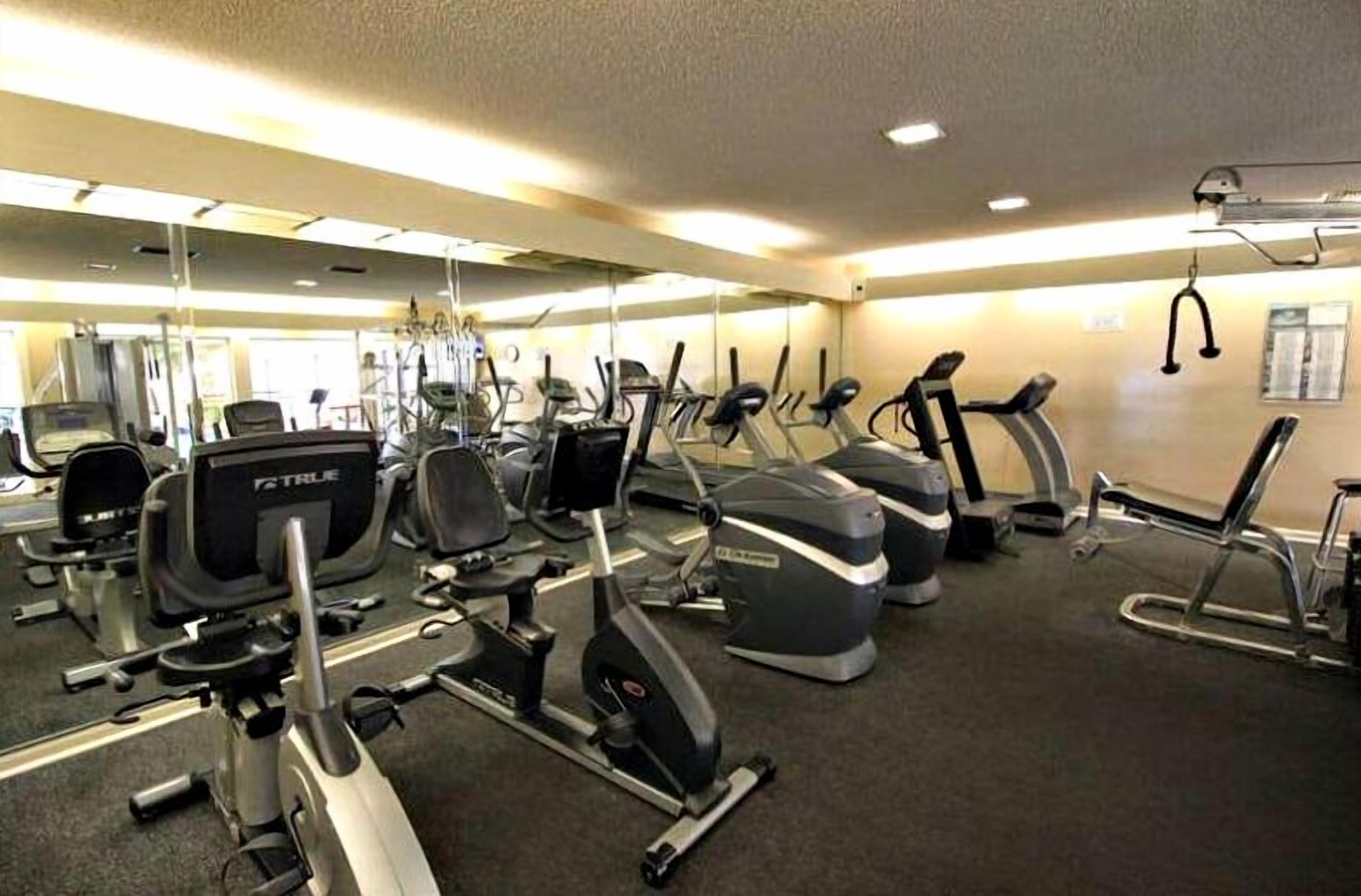 Une salle de sport équipée de divers appareils de cardio, notamment des tapis de course et des vélos elliptiques.