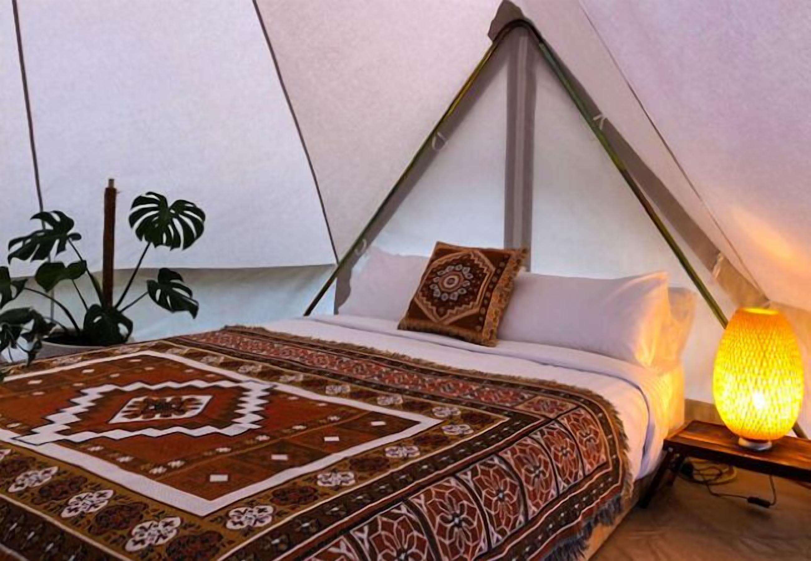 A tent with a bed, a lamp, and potted plants.