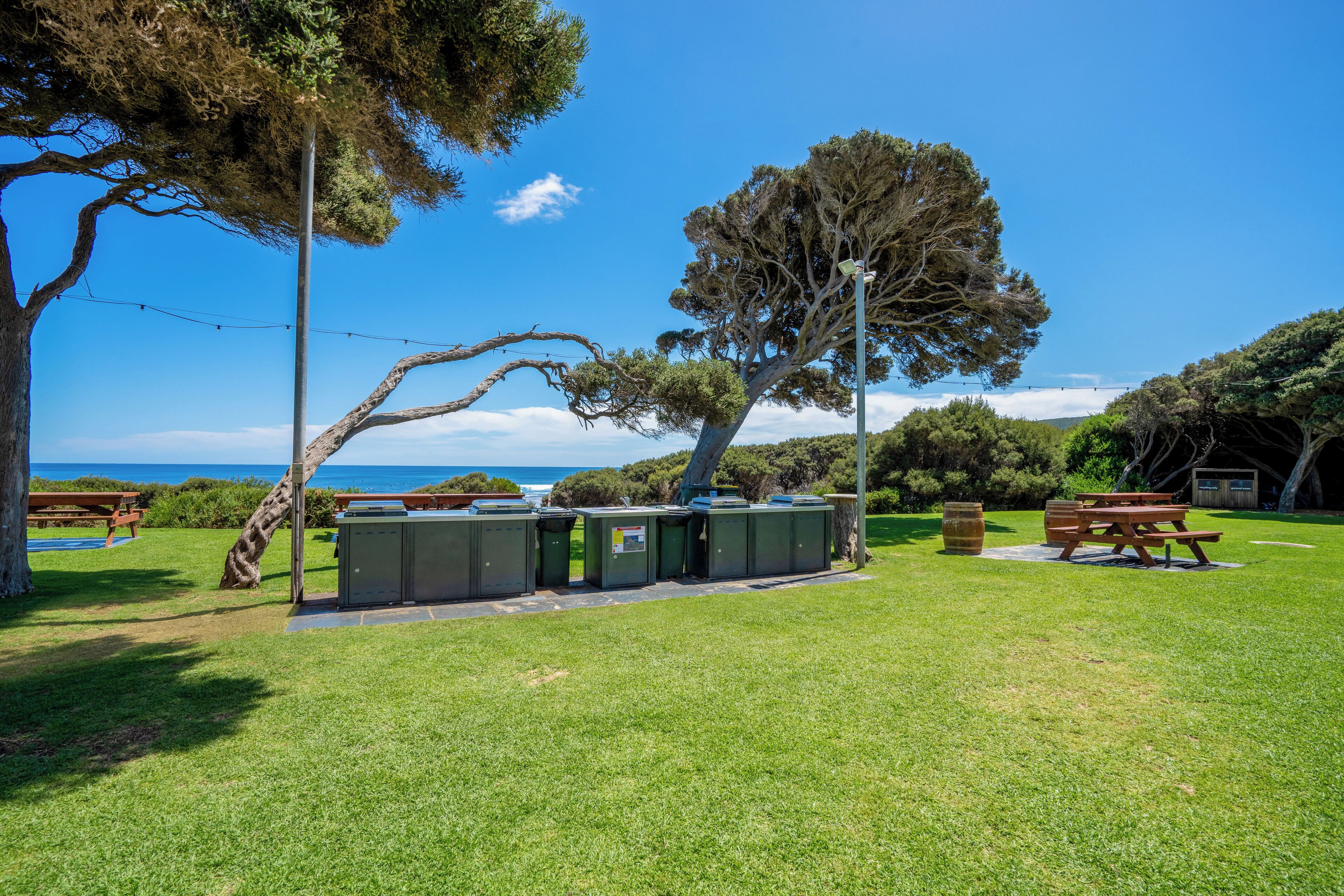 Un área de picnic con bancos y contenedores, rodeada de árboles y un cielo despejado.