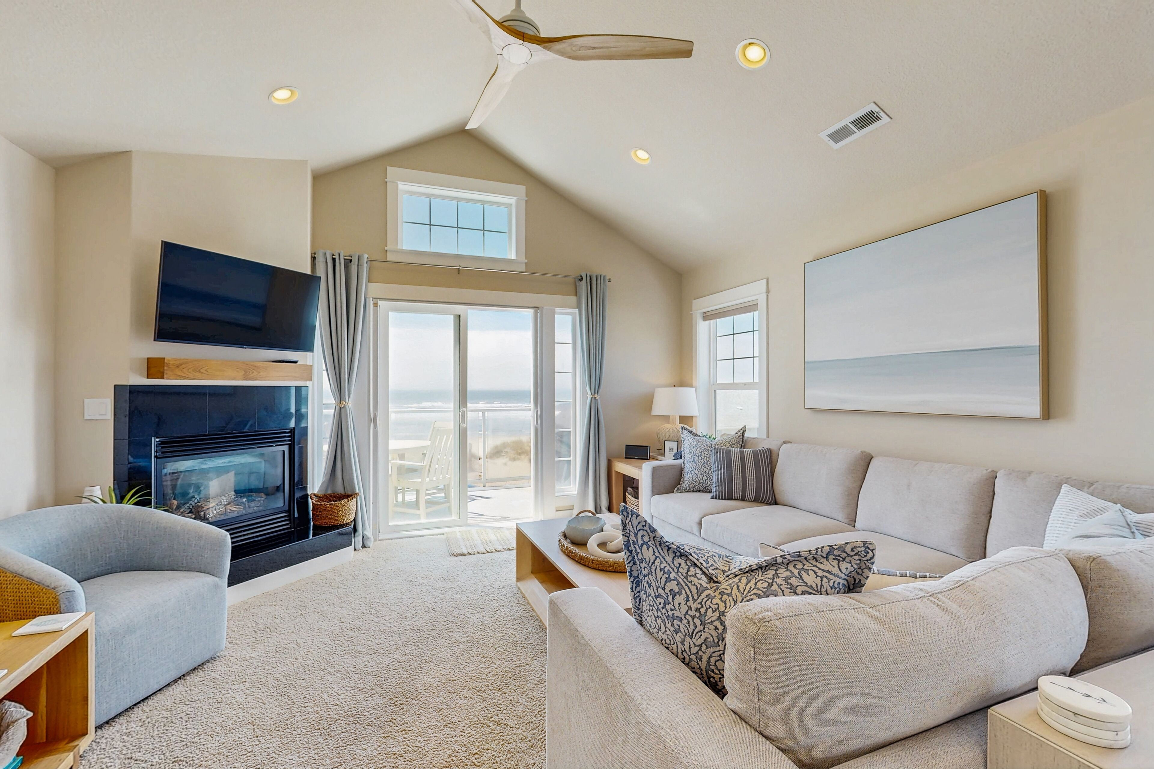 Télévision, cheminée, lecteur de DVD, livres