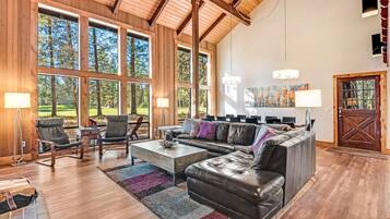 Télévision, cheminée, lecteur de DVD, livres