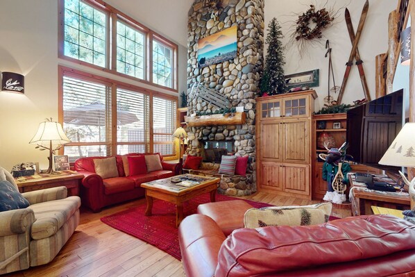 Televisión, chimenea, reproductor de DVD y libros 