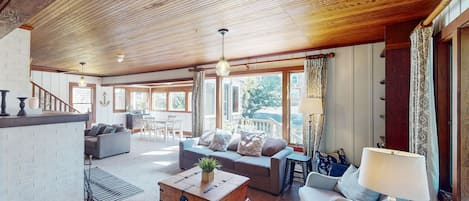 TV, fireplace, DVD player, books