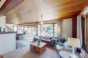 TV, fireplace, DVD player, books