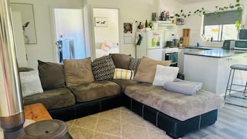 Smart TV, fireplace, books, stereo