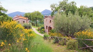 A rural setting with stone buildings, a pathway, and surrounding vegetation.