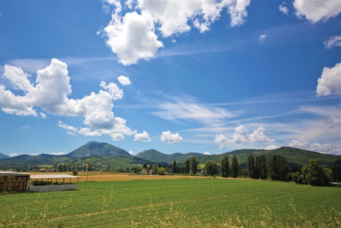 Ländliche Landschaft mit blauem Himmel, grünen Feldern und fernen Bergen.