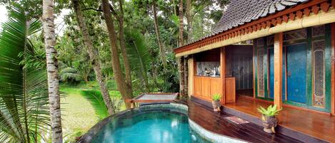 Outdoor pool, an infinity pool