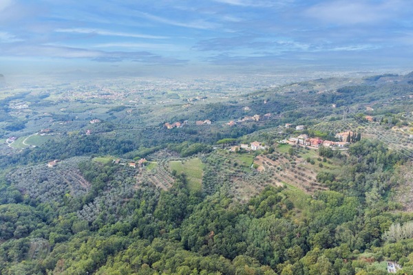 Möbel, Eigentum, Deckenventilator, Cabinetry, Tabelle, Couch, Beleuchtung, Bilderrahmen, Holz, Countertop