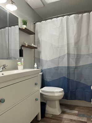 Combined shower/bathtub, jetted bath, hair dryer, towels