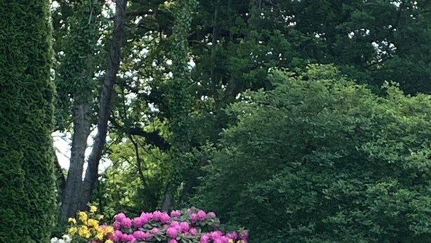 Een verzorgde tuin met een stenen fontein, weelderig groen en een rieten tafel met stoelen.