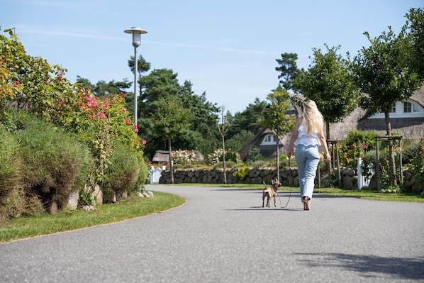 A paved pathway in a park-like setting with greenery and a dog on a leash.