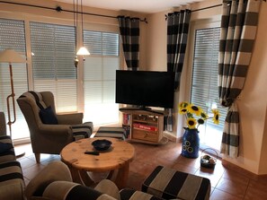 Télévision, cheminée, lecteur de DVD, chaßne hi-fi
