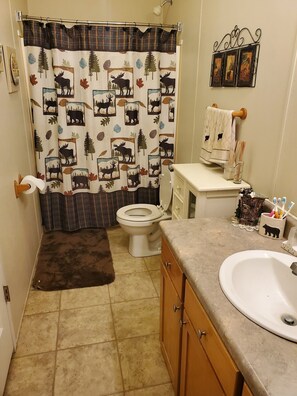 Duschwanne, Haartrockner, Handtücher, Seife