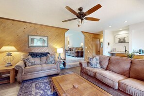 TV, fireplace, DVD player, books