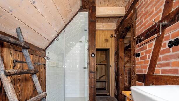 Une salle de bain rustique avec une échelle en bois, une cabine de douche en verre et un lavabo avec du papier toilette.